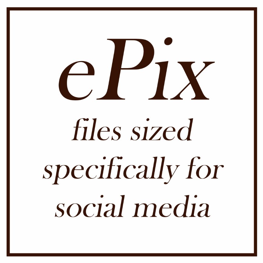 10 ePix with $600 purchase