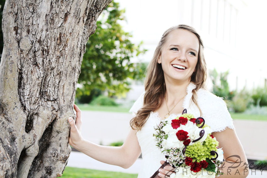 BROOKLYN AND ELIGH - LOST DUTCHMAN