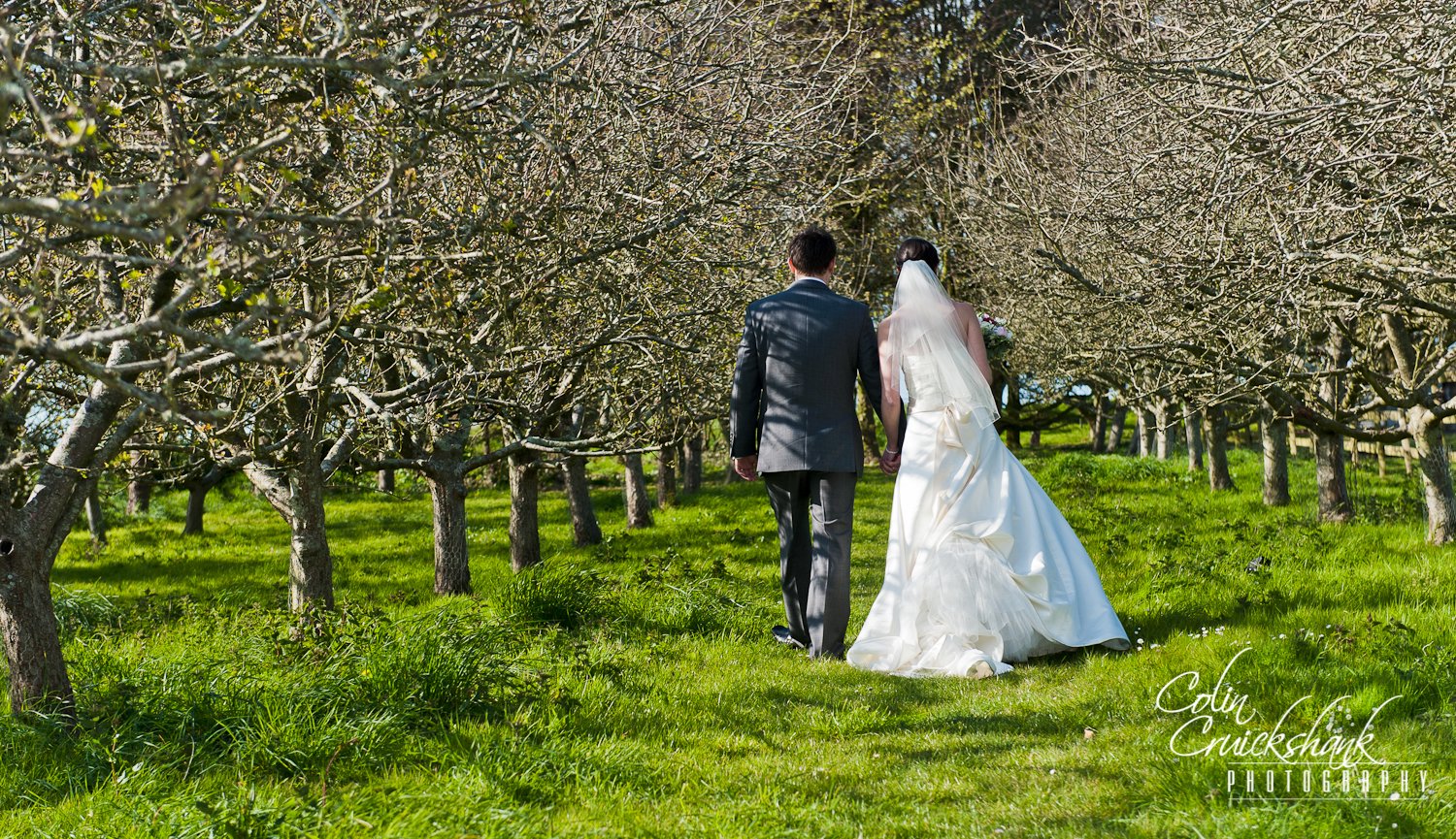 colin cruickshank weddings