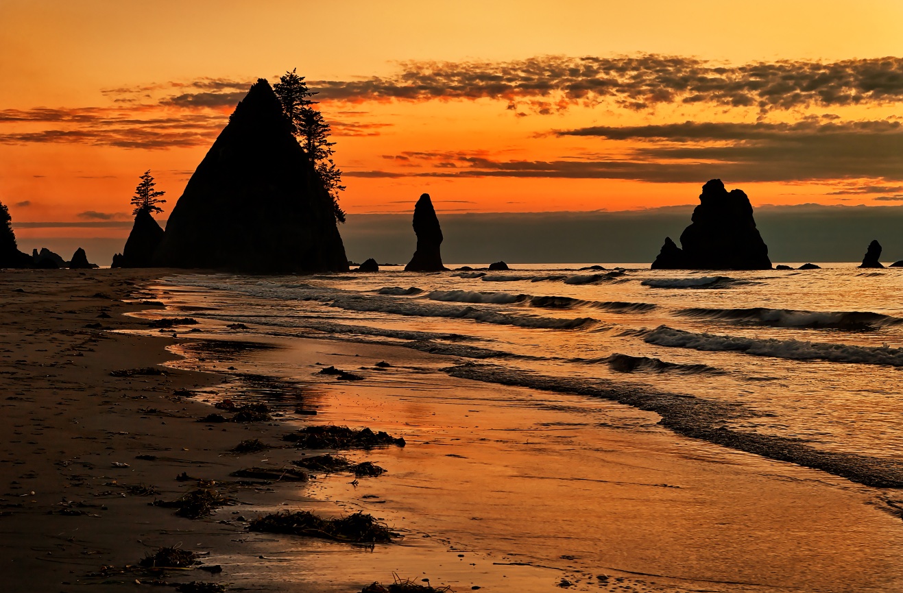 Sunset at Shi Shi - 110809-431