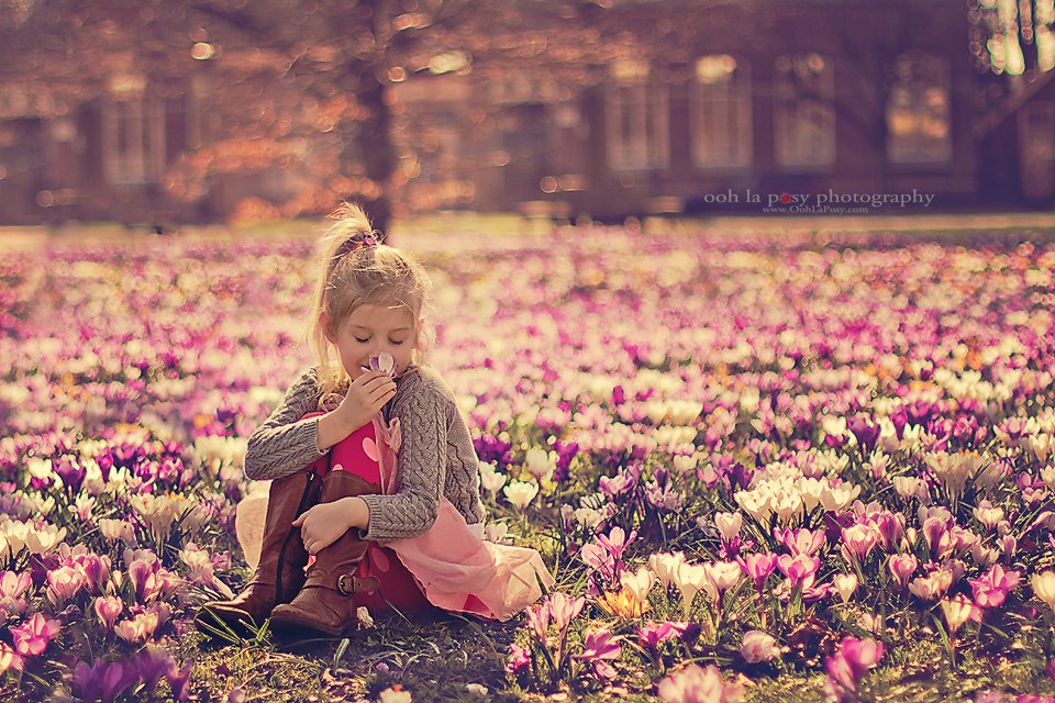 Caitlin in the crocuses - Houston Child Photographer