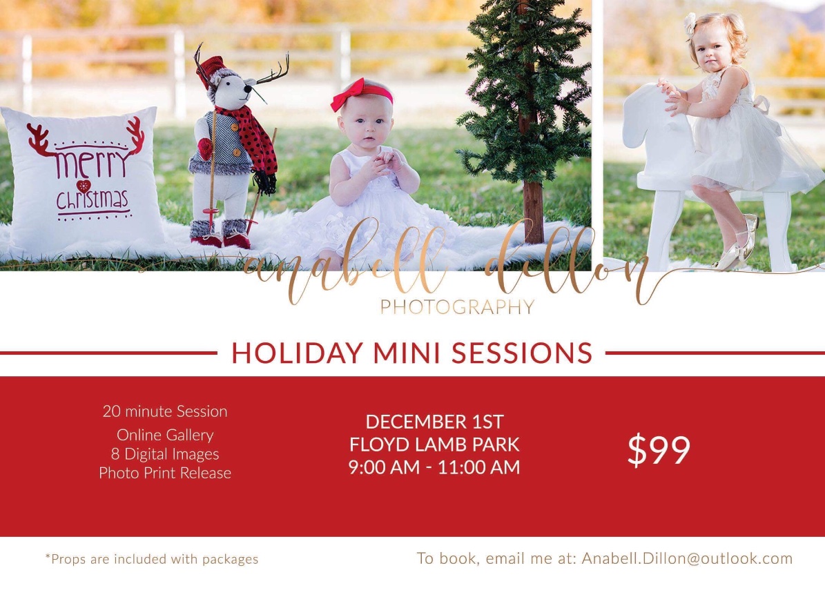 Seasonal Mini Sessions
