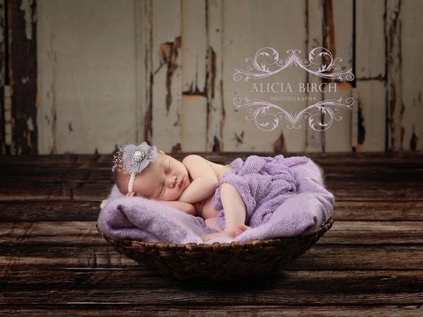 The Twenty Minute Toddler