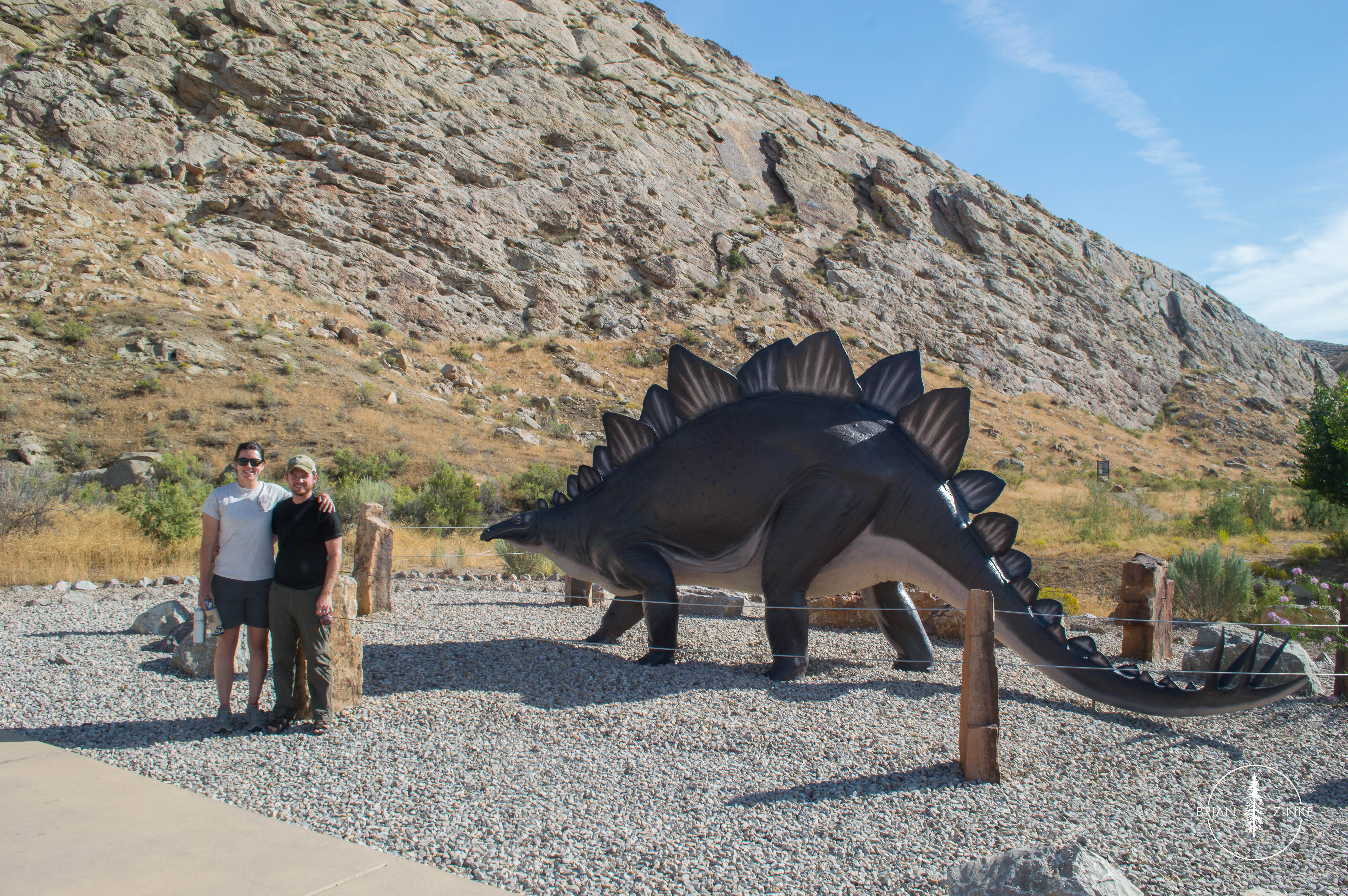 vernal dinosaur national park