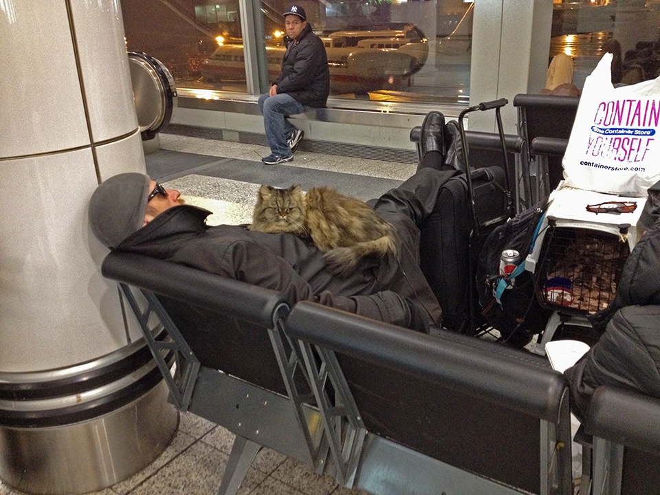 2024 TODOS SANTOS, BCS, WEEK 4