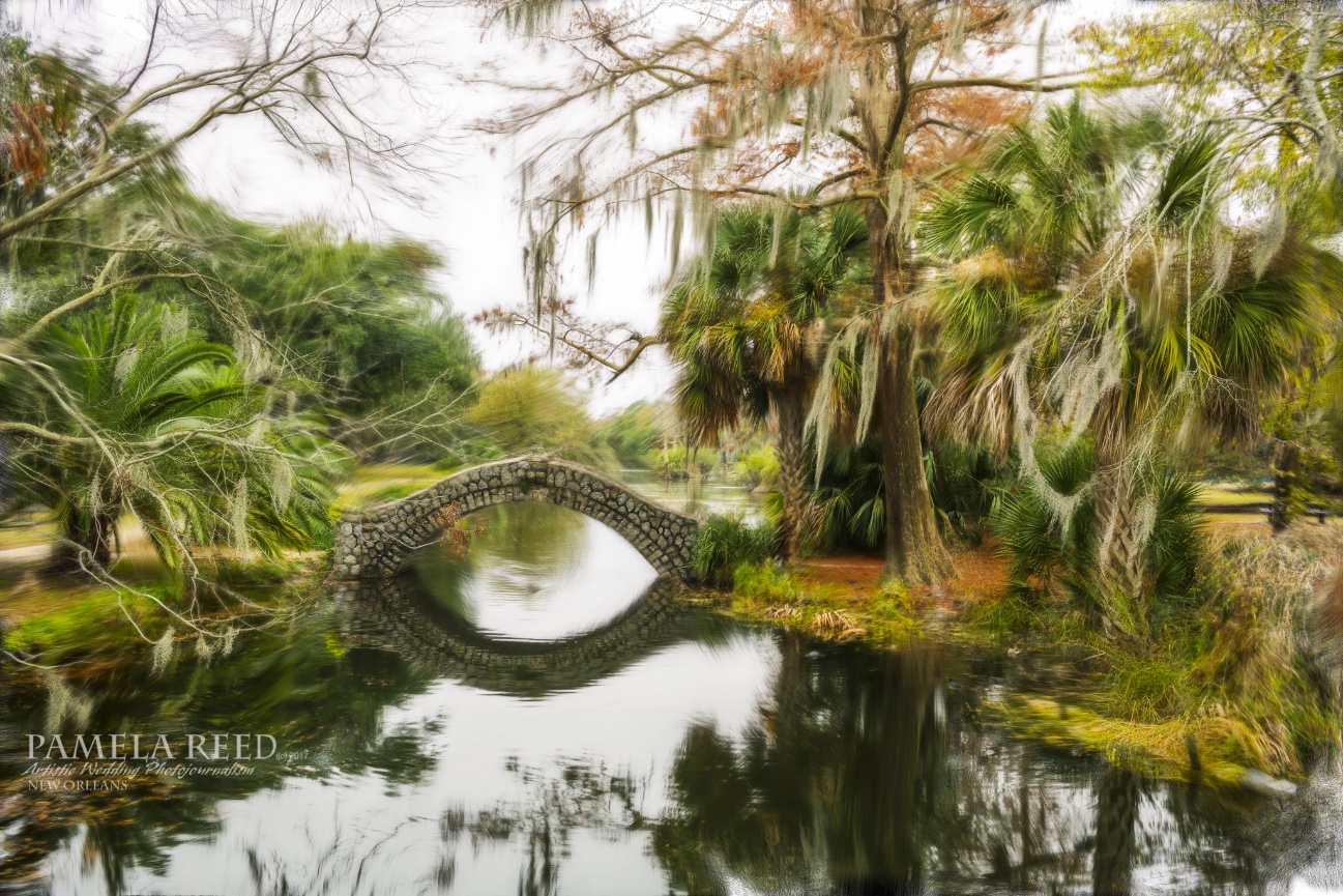 New Orleans City Park and House of Blues Wedding