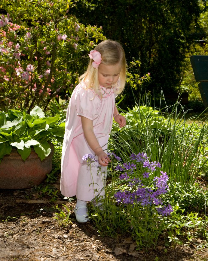 Azalea Spring Special