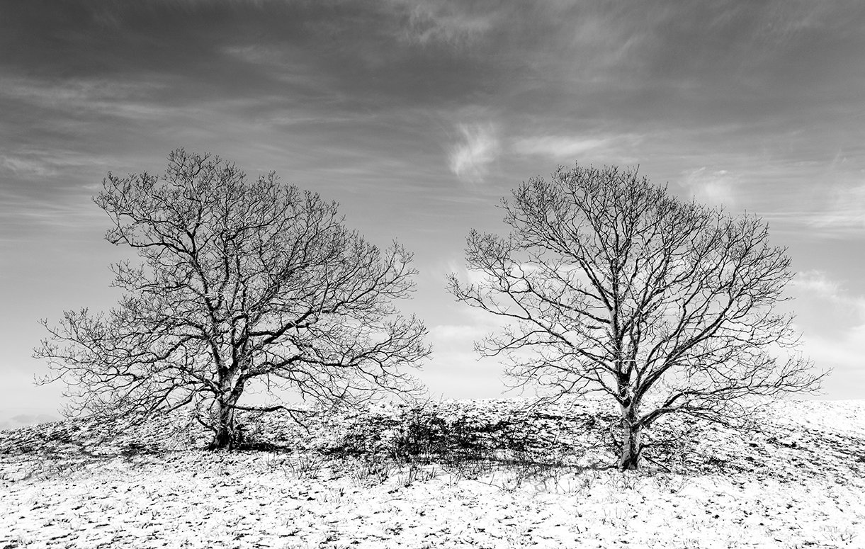Fall Colors on the Carriage Roads in Acadia National Park