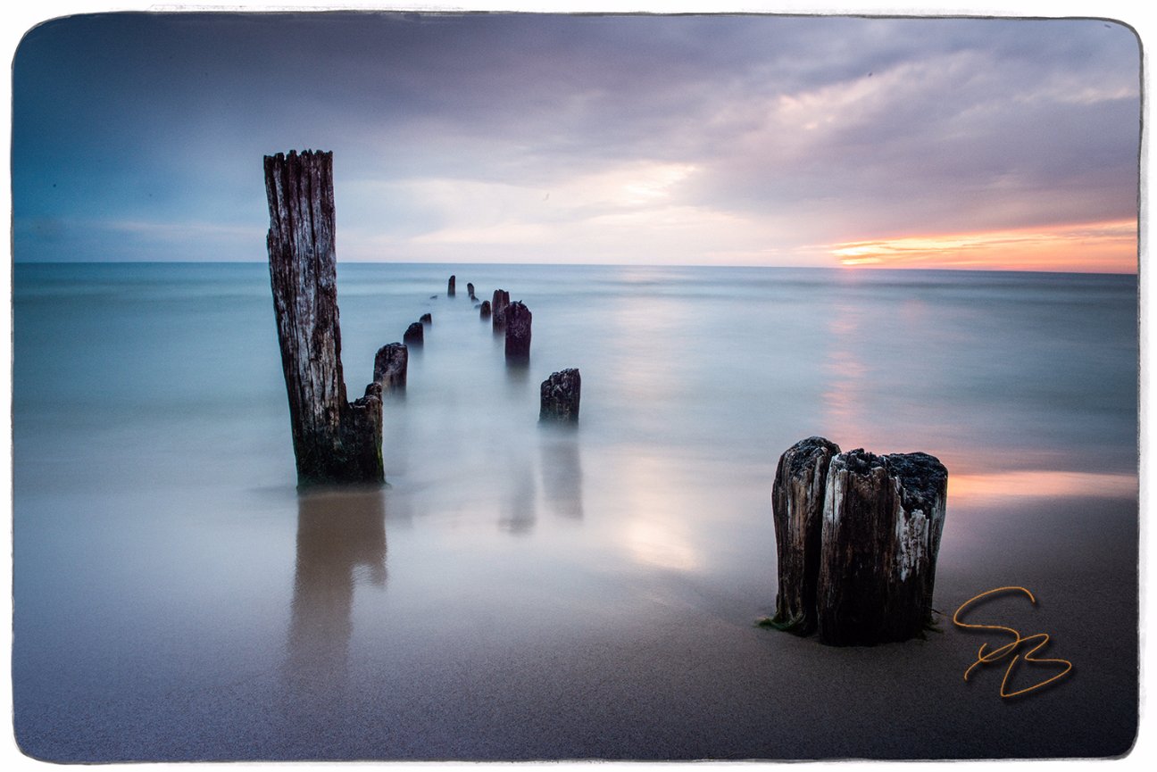 Serena Class of 2021