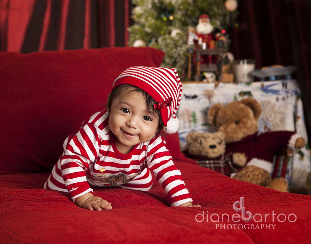 Milk & Cookies for Santa