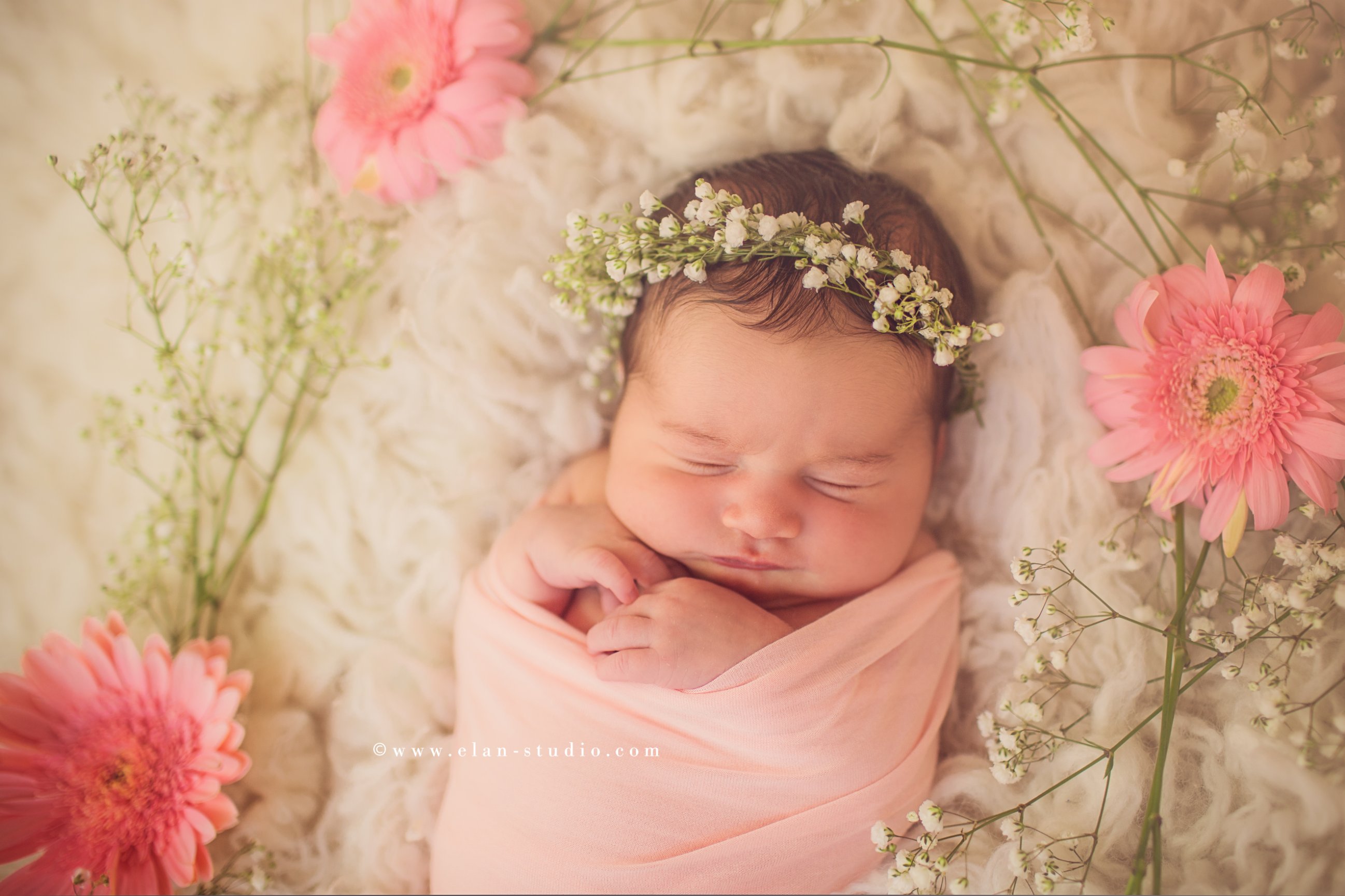 newborn girl with baby's breath flower crown and pink Gerbera daisies