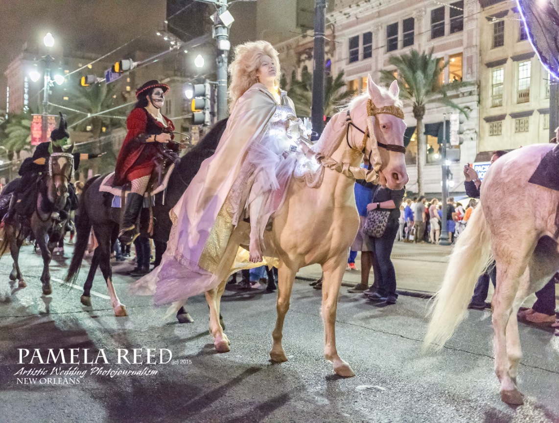 New Orleans Anniversary Portraits