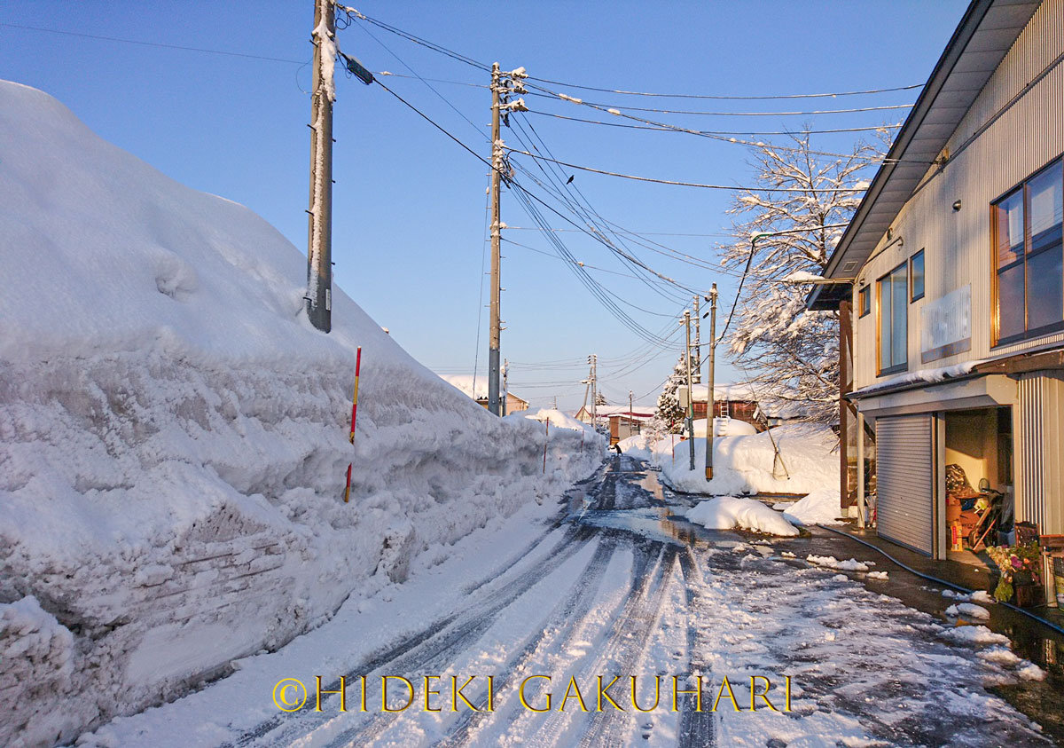 YukiGuni Niigata Tour - A Culinary and Seascape Photography Destination