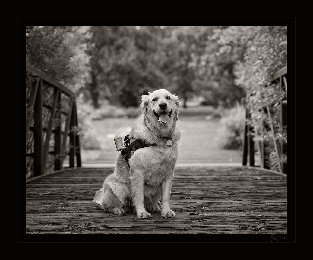 ITALY!!!  A Trip of a Lifetime!!