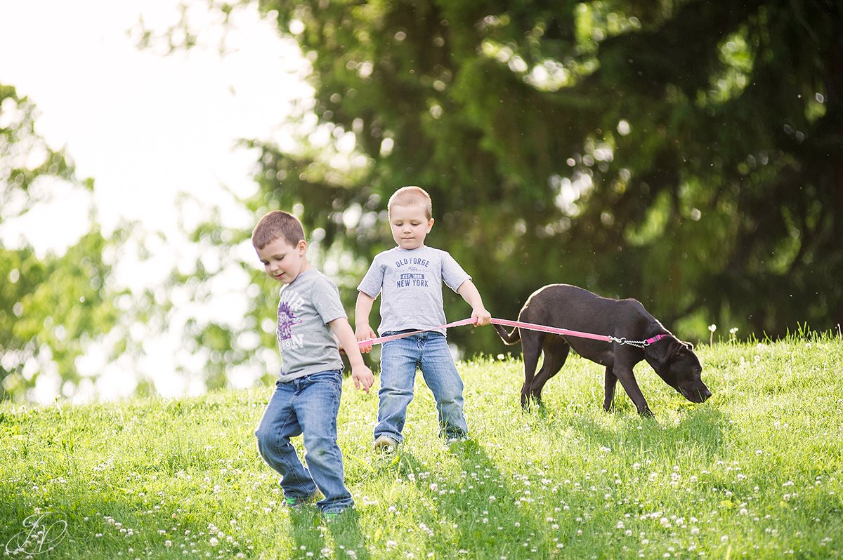 jessica painter photography, albany portrait photographer