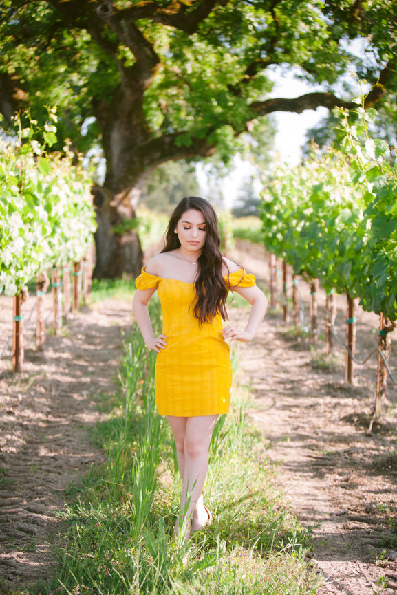 A Stunning Indian-American Wedding at Limerick Lane Cellars in Healdsburg Studio J Portraits