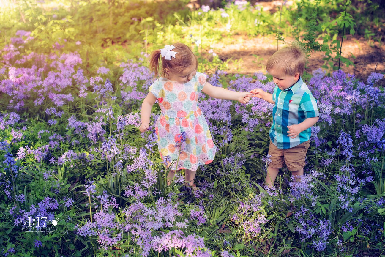 The Scott Family 2024...