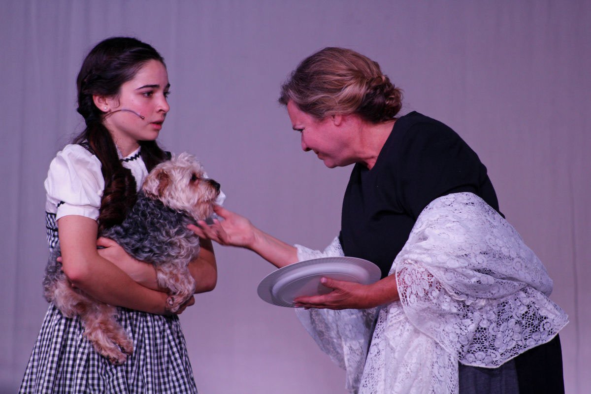 Arts Next Door, Rockingham Arts Council helps bring music, art and theater to rural areas