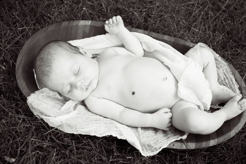 Baby Girl Newborn Portraits - Colorado