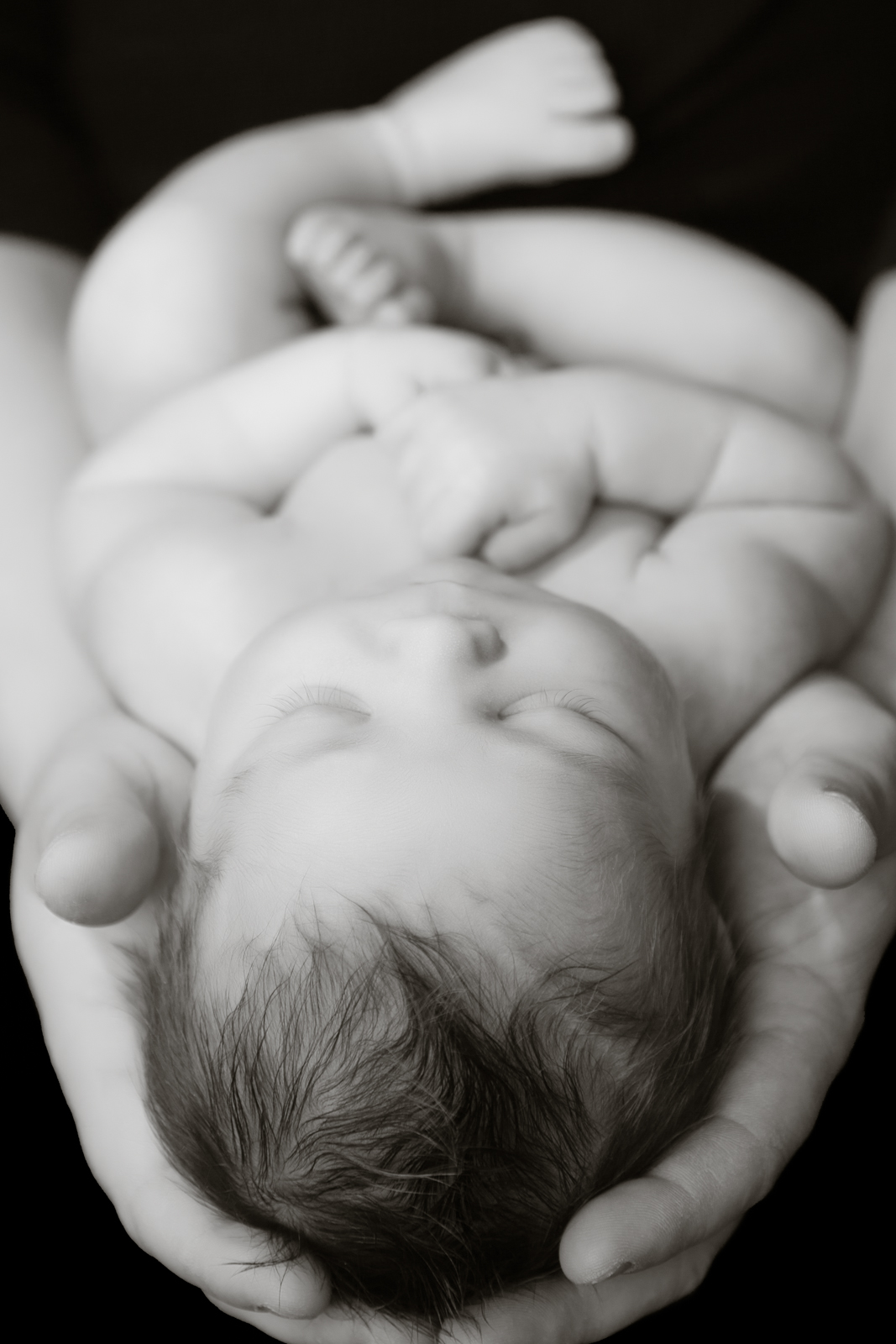 Newborn Photographer Maryland
