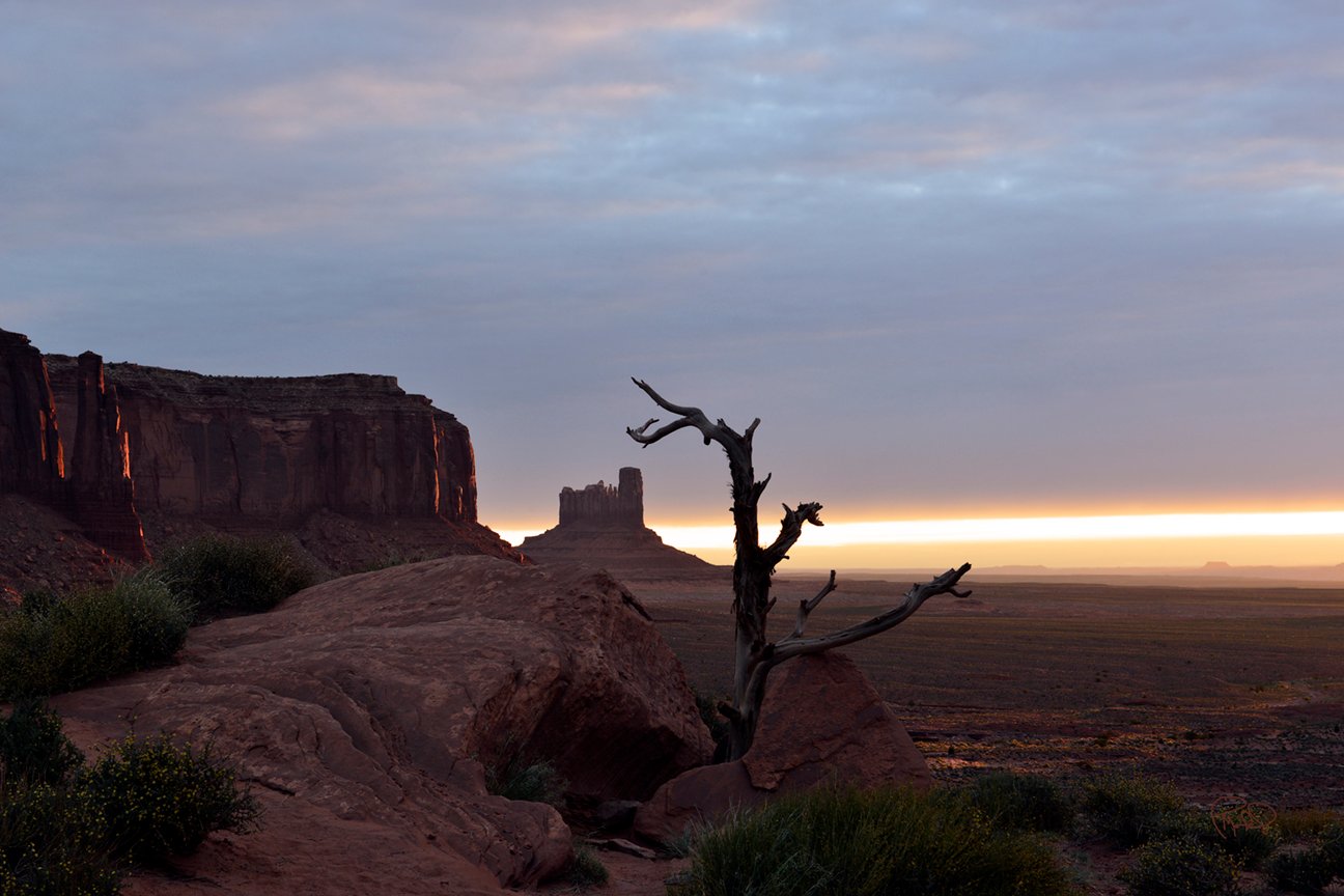 Lupine Glow 20x30 / 26x40 / 33x50