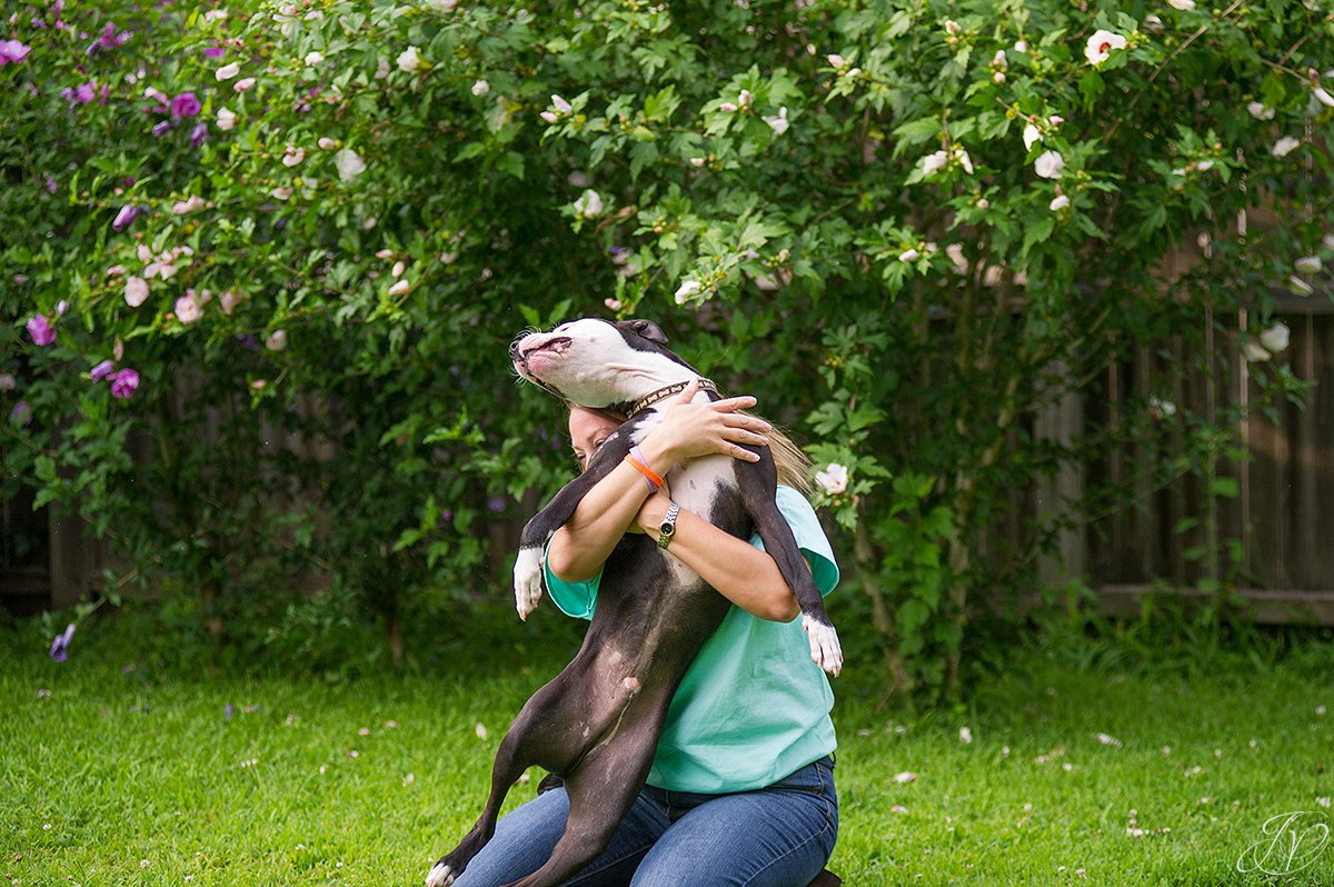dog rescue, albany pet portrait photographer
