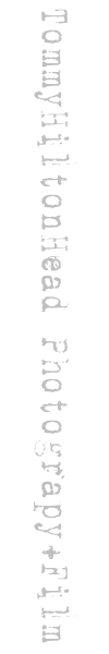 tthfadedsmall3