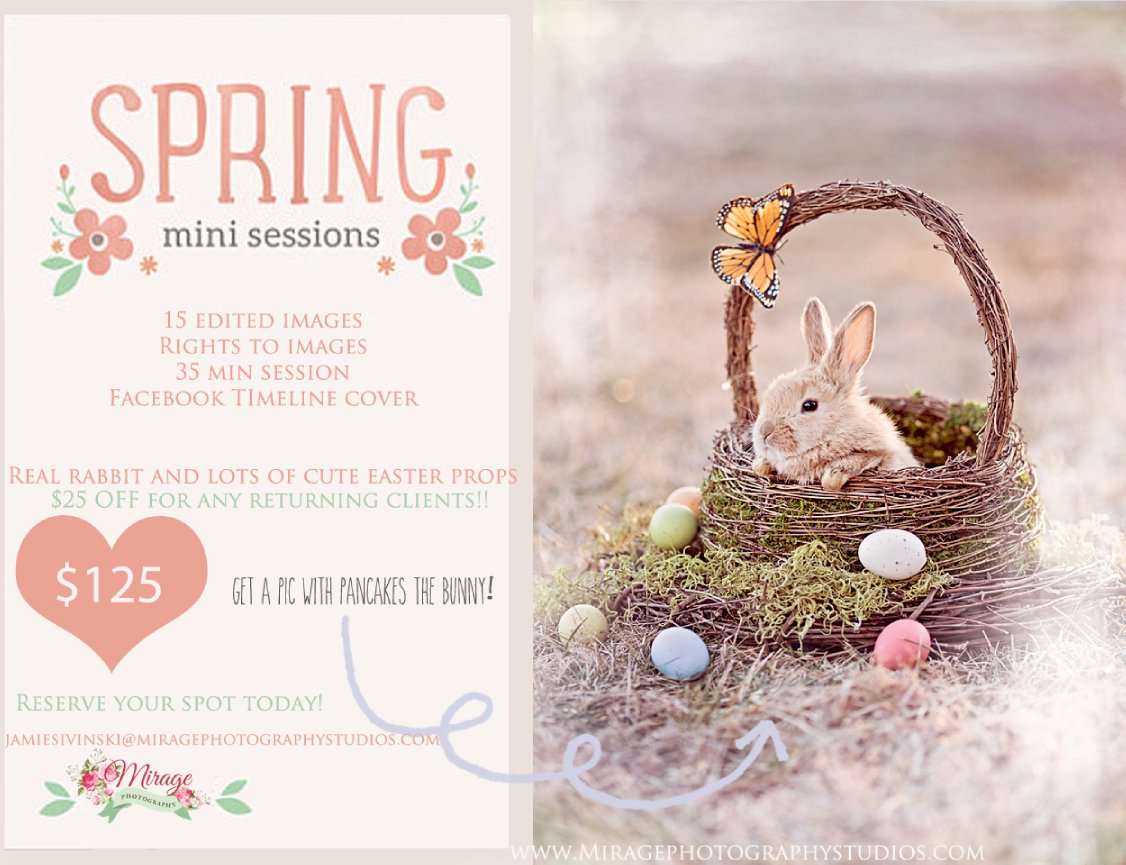 Spring Mini Session
