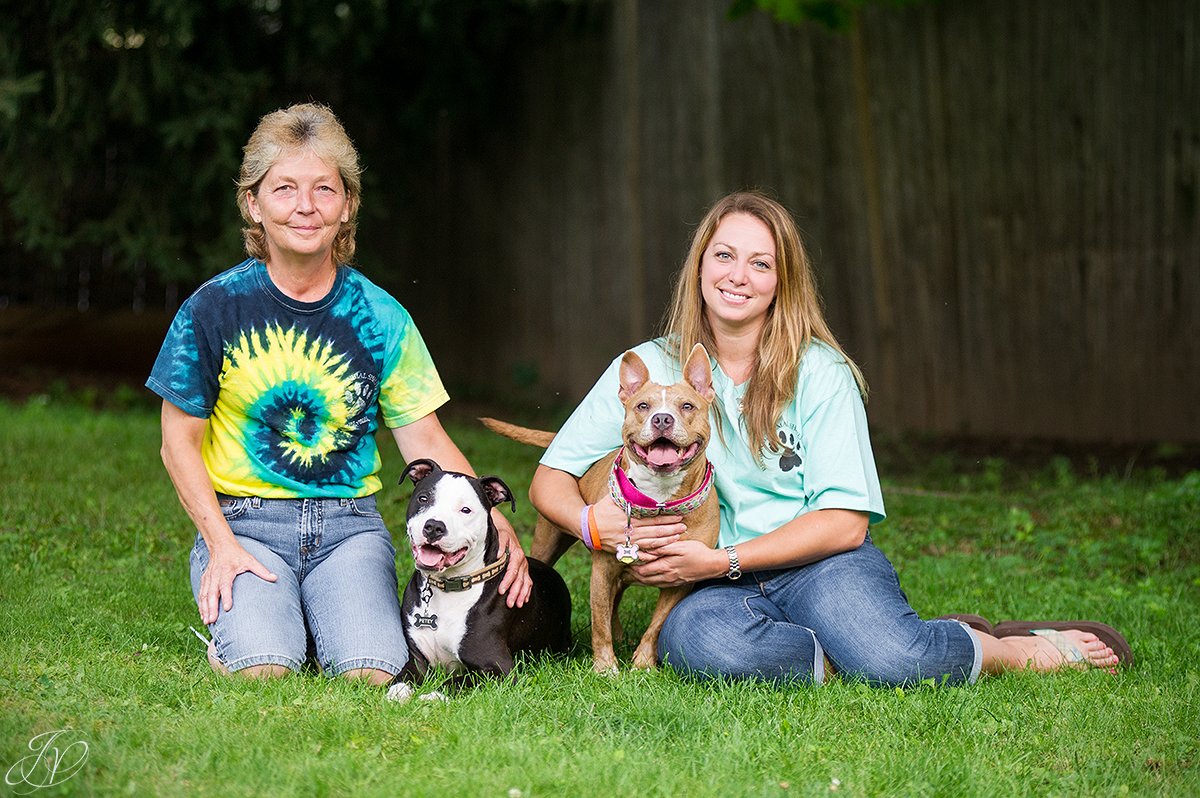 dog rescue, albany pet portrait photographer
