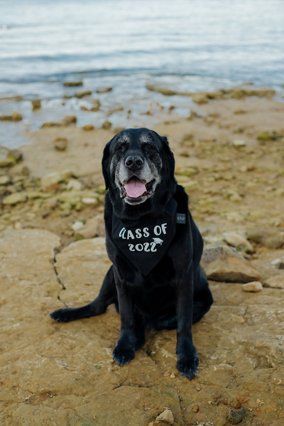 Highland Park Boy Sesame Street 2nd birthday Boy Girl Baptism Gown American Flag