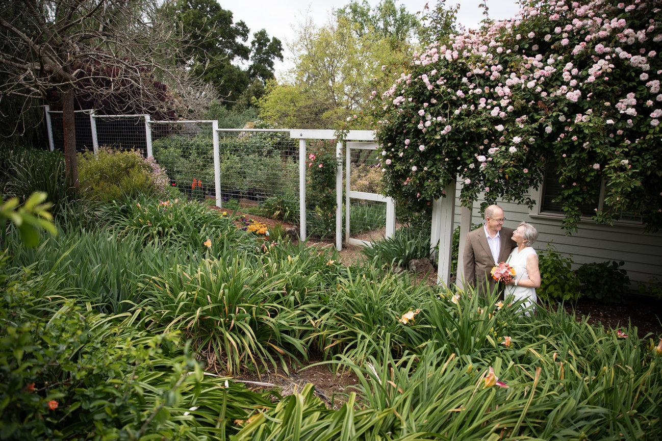 A Stunning Indian-American Wedding at Limerick Lane Cellars in Healdsburg Studio J Portraits