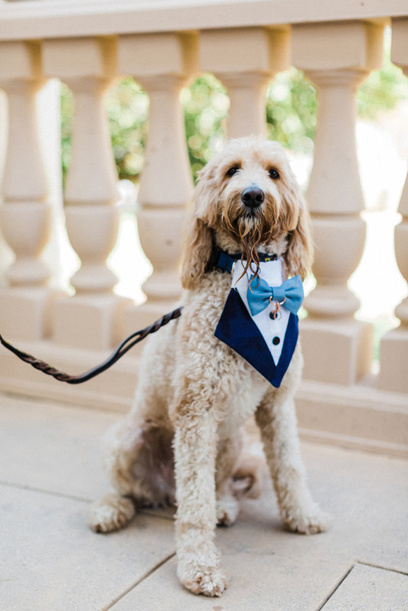 Ogunquit, Maine Family Photo Session