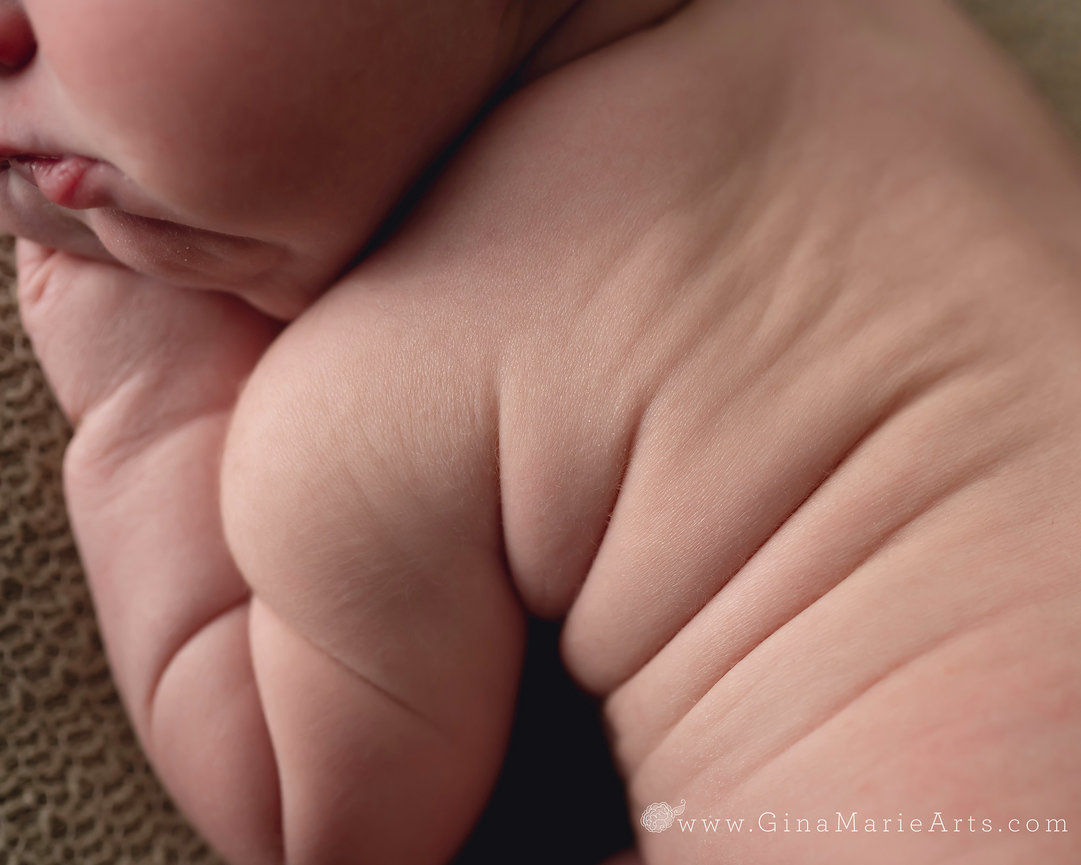 When Should You Schedule Your Maternity Photos on Long Island?
