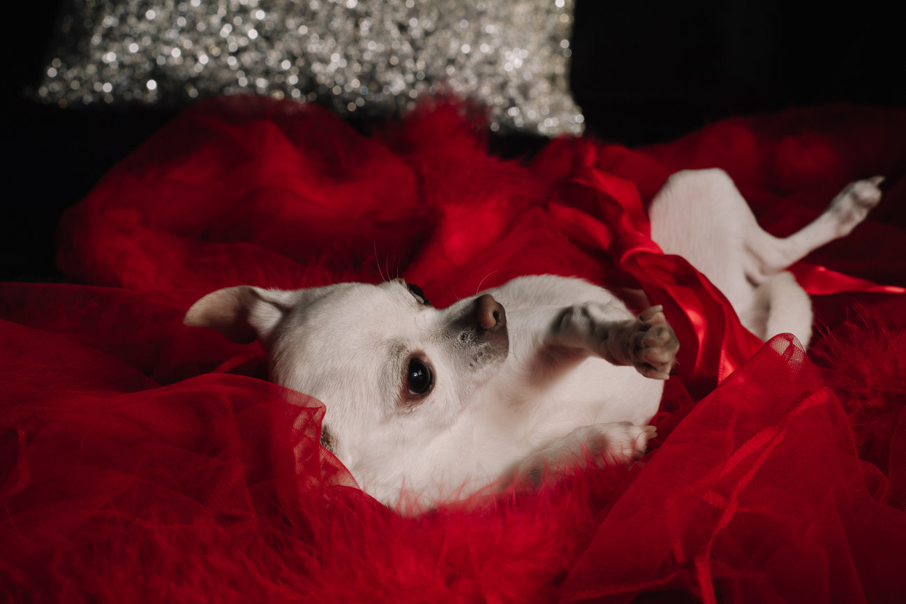 Mr. & Mrs. L's Couples Boudoir Session