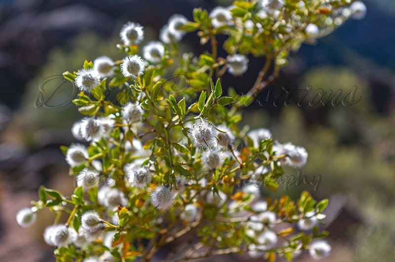 Kaiyah Takota The Final Chapter - A Novel Husky: Chapter 48