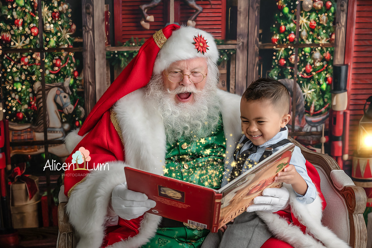 2025 Black Friday Special at Alicen Lum Photography