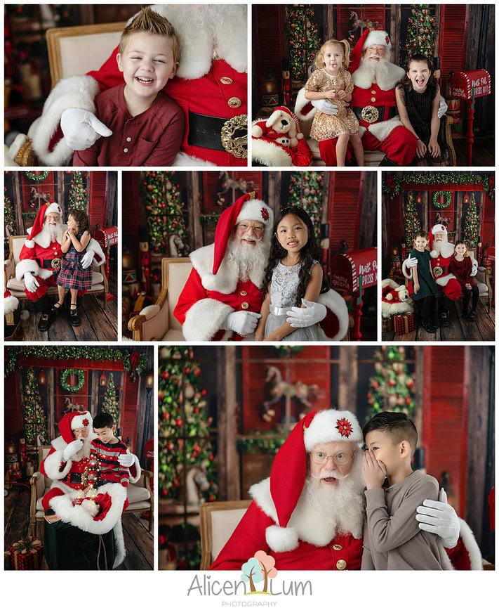 2025 Black Friday Special at Alicen Lum Photography