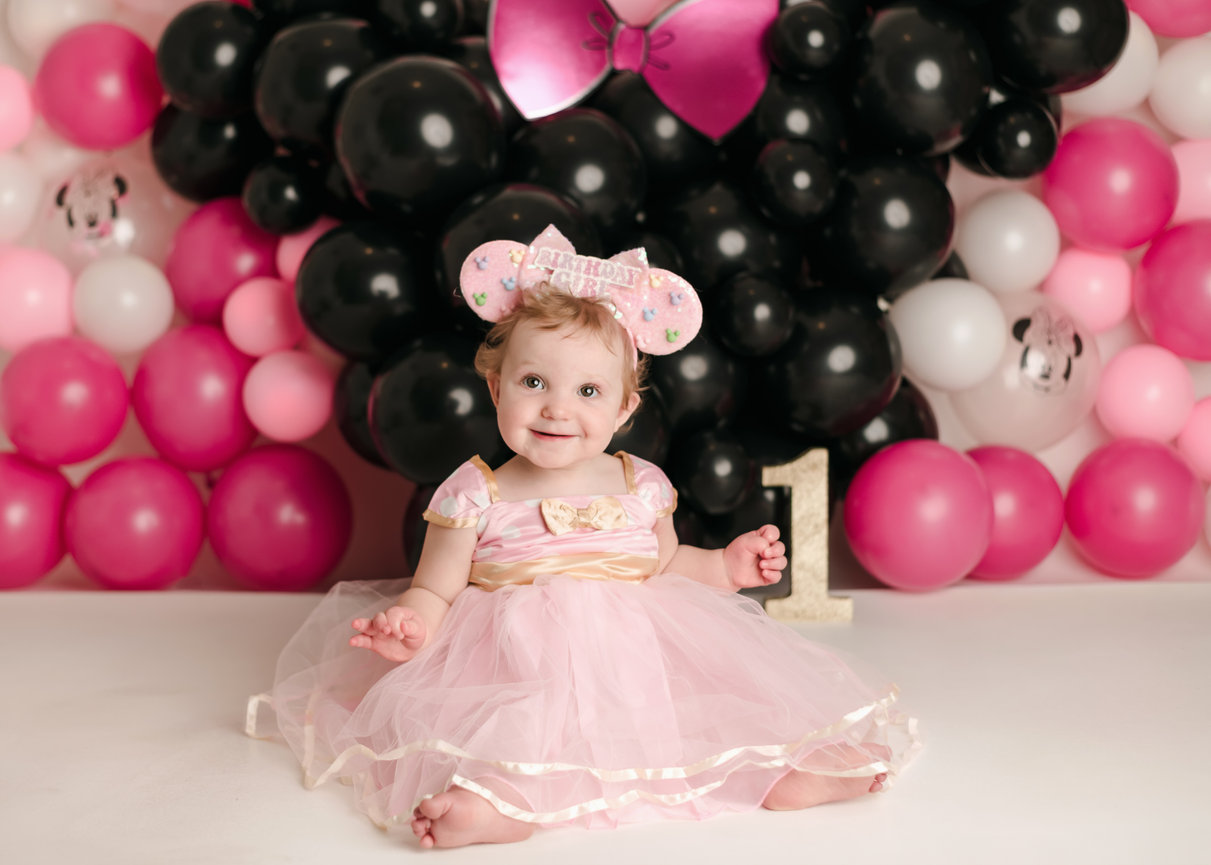 One Silly Goose Smash & Splash