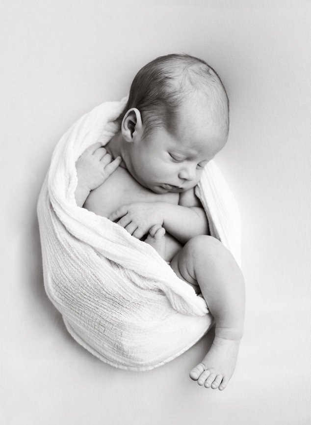 Multi-Generation Family Portraits: a Not-to-Miss Experience!