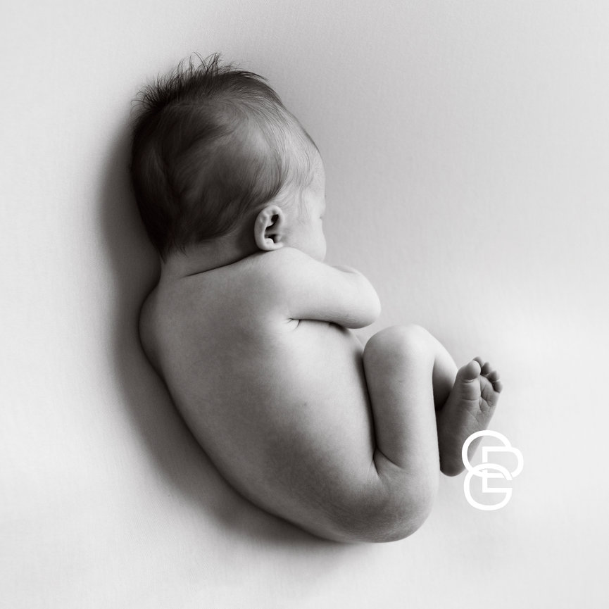 Multi-Generation Family Portraits: a Not-to-Miss Experience!