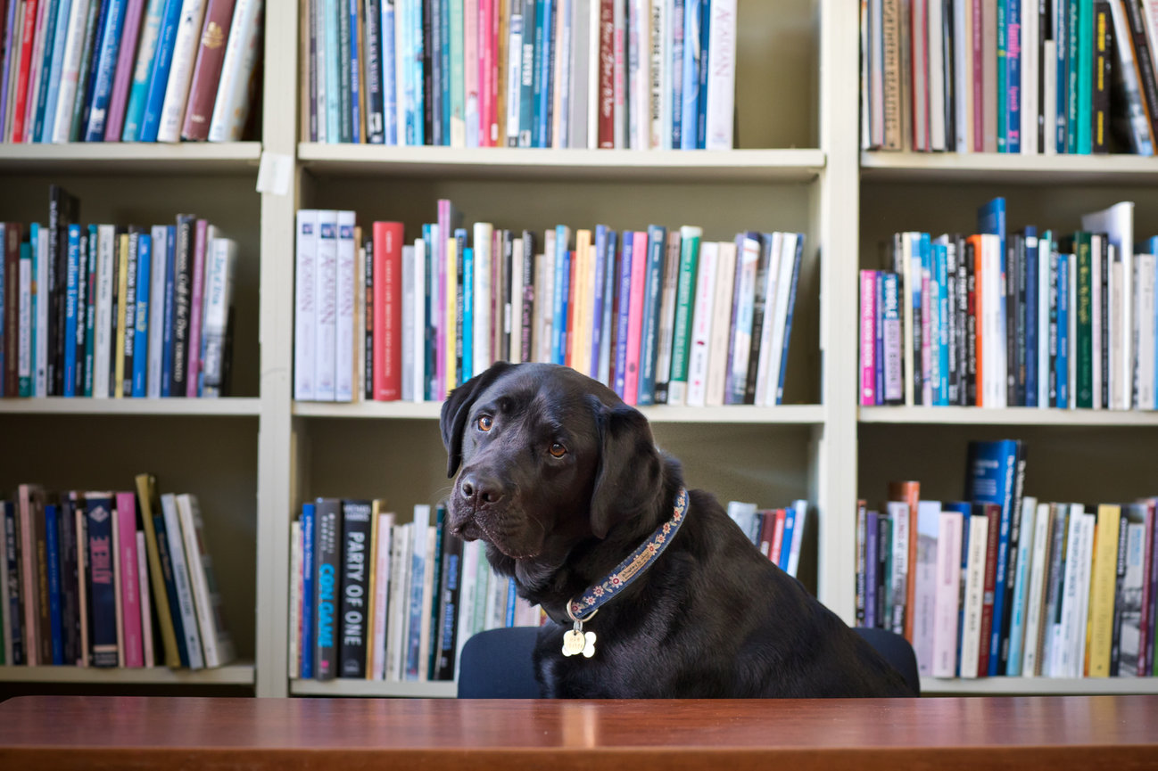 Portraits for Authors at the Halifax Central Library