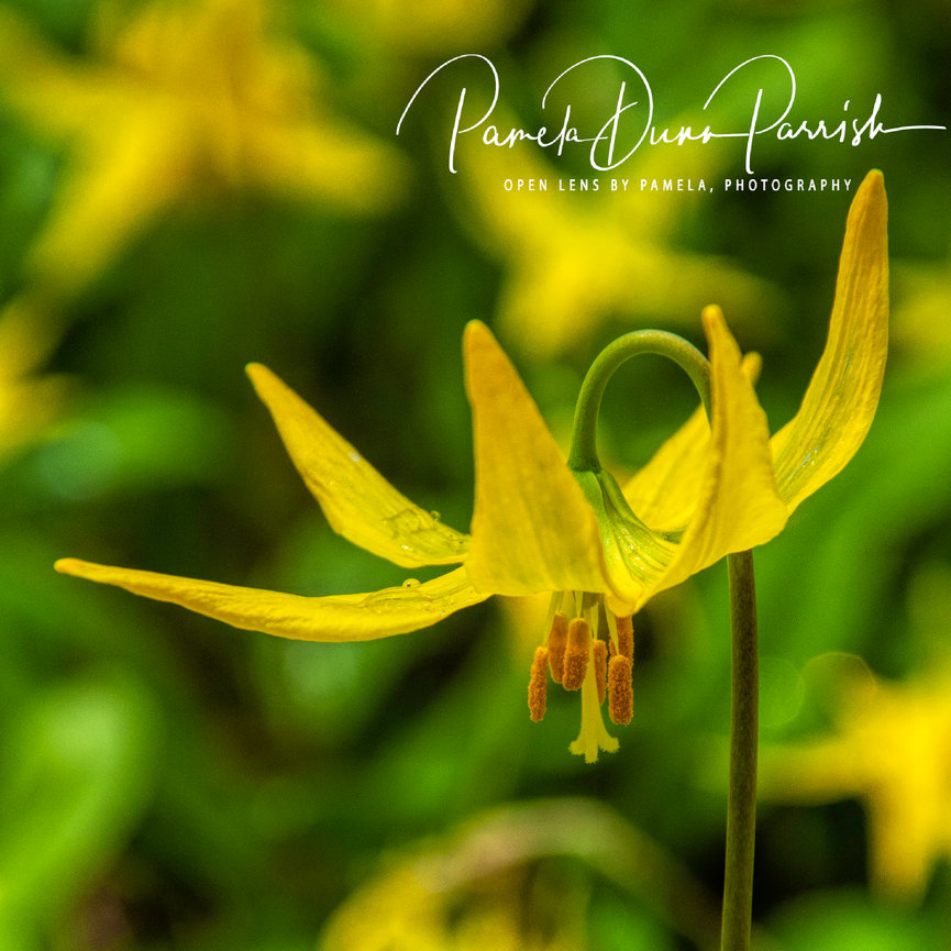 What to expect in a Photo Story Branding Session