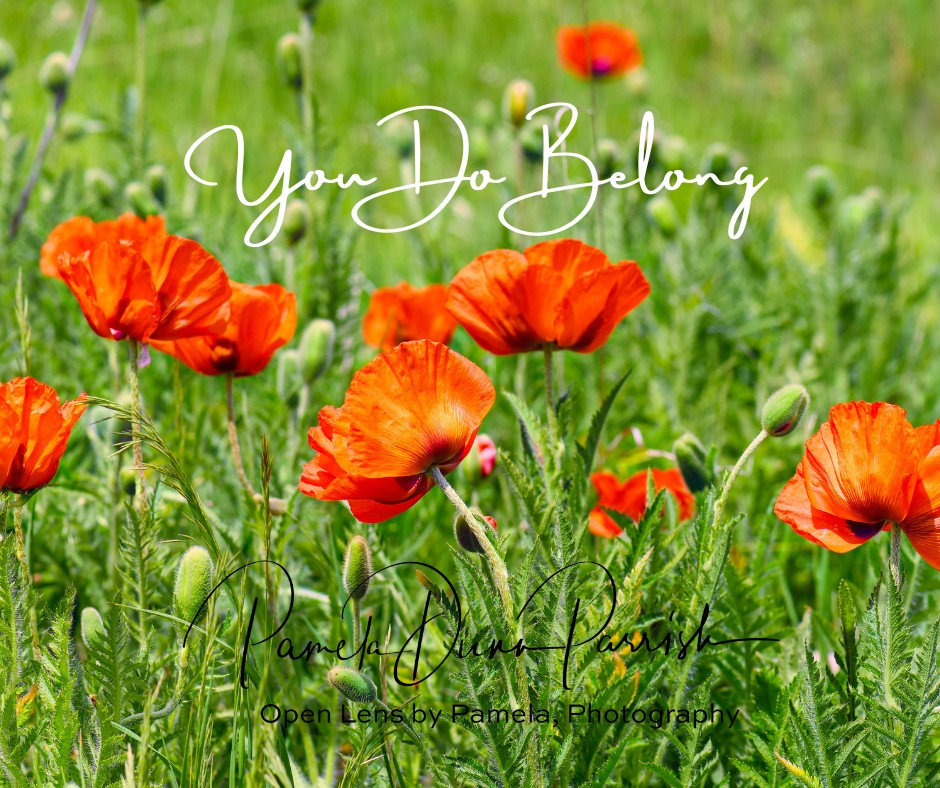 What to expect in a Photo Story Branding Session