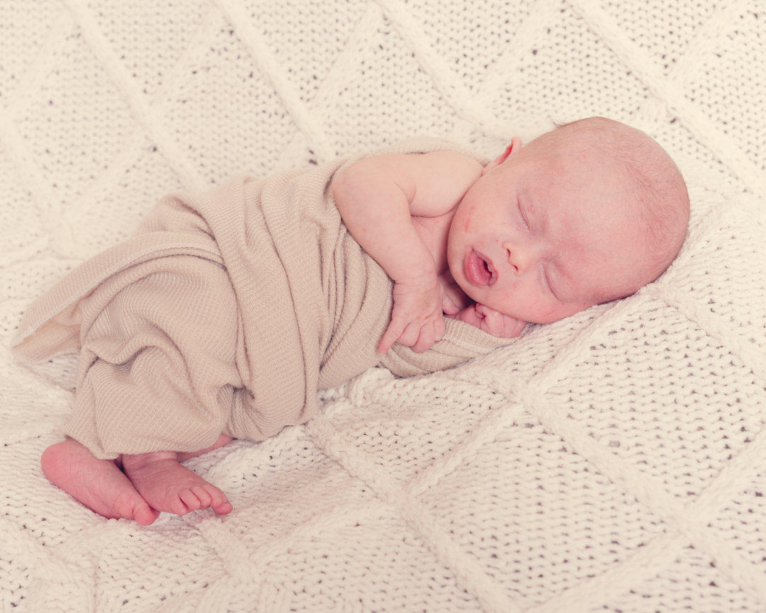 Cru's Newborn Session