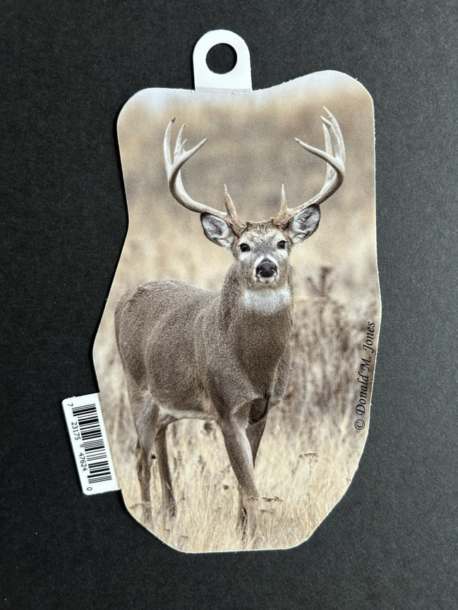 Whitetail Buck S4 699