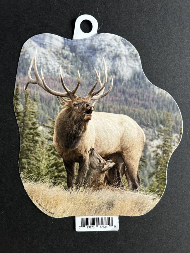 Bull Elk S4 693