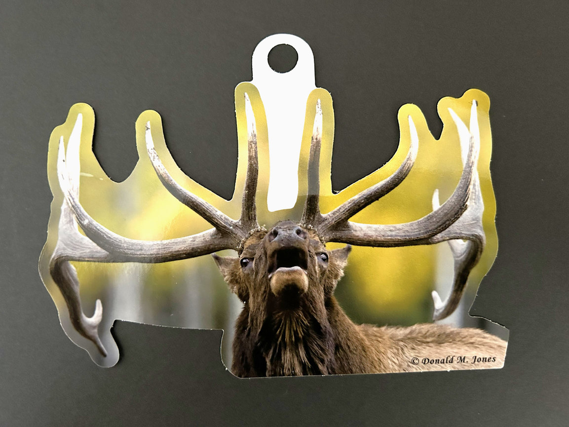 Bull Elk S4 707