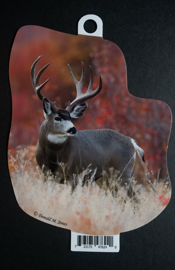 Mule Deer S6 712