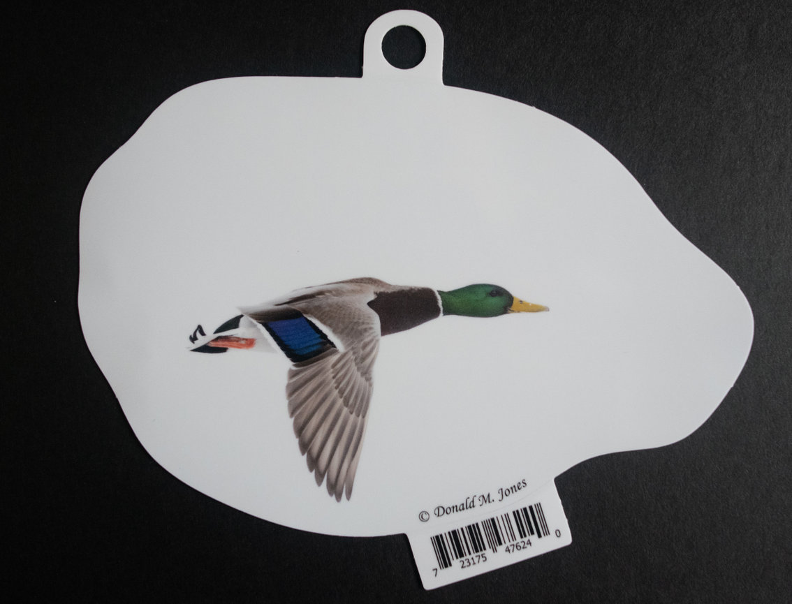 Wood Duck S4 732
