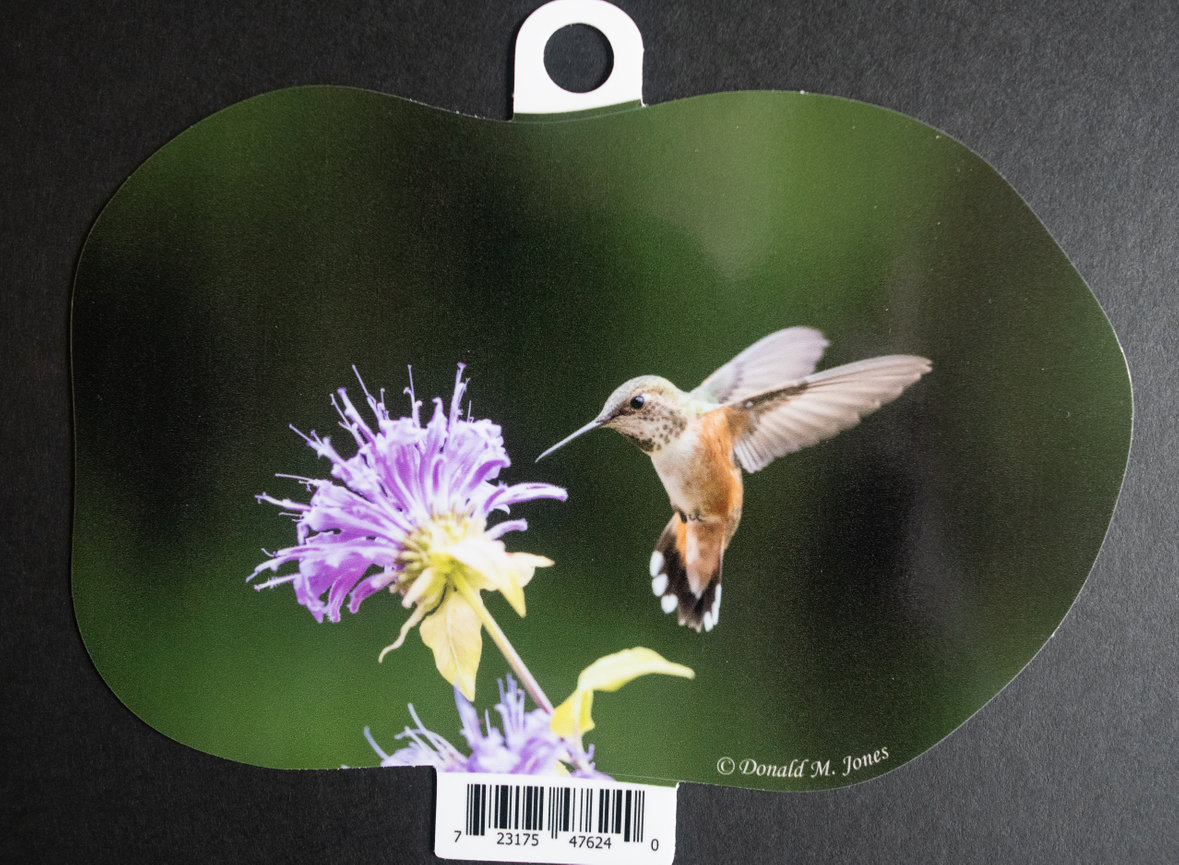 Rufus Hummingbird S6 731